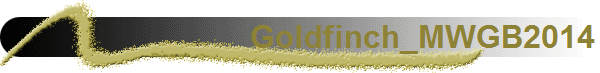 Goldfinch_MWGB2014